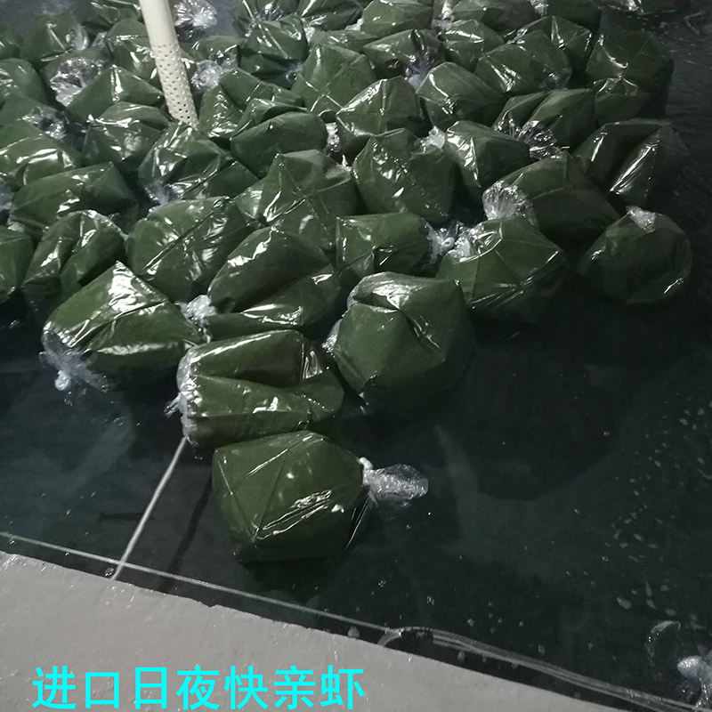 进口日夜快亲虾