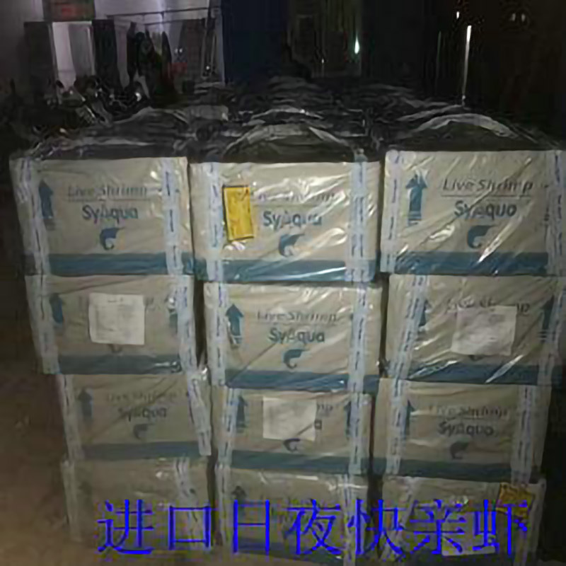进口日夜快亲虾